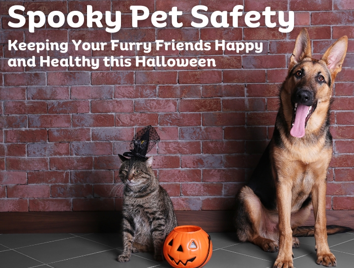 Halloween Pet Safety Two Notch Road Animal Clinic